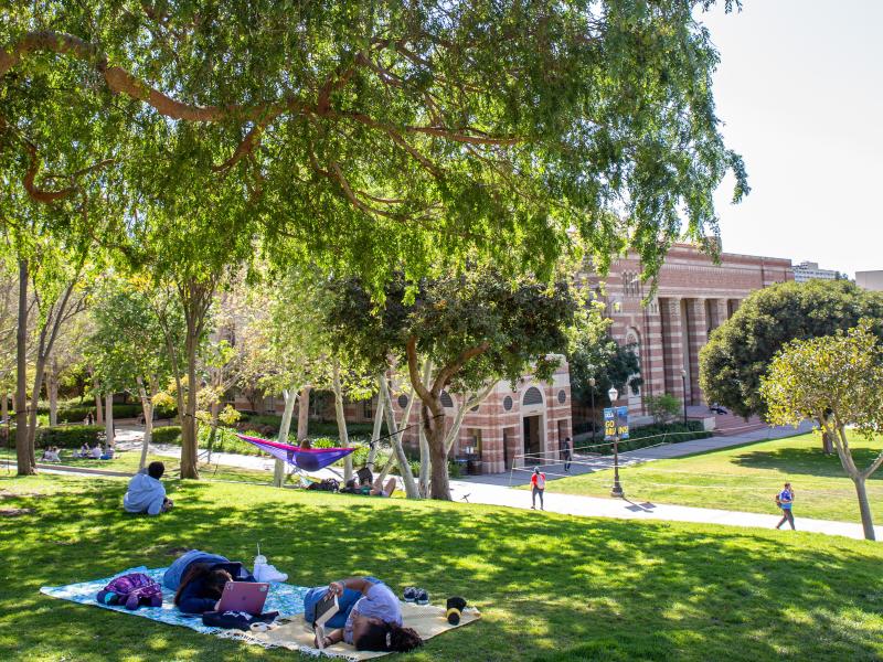 Students sitting on grass on UCLA campus