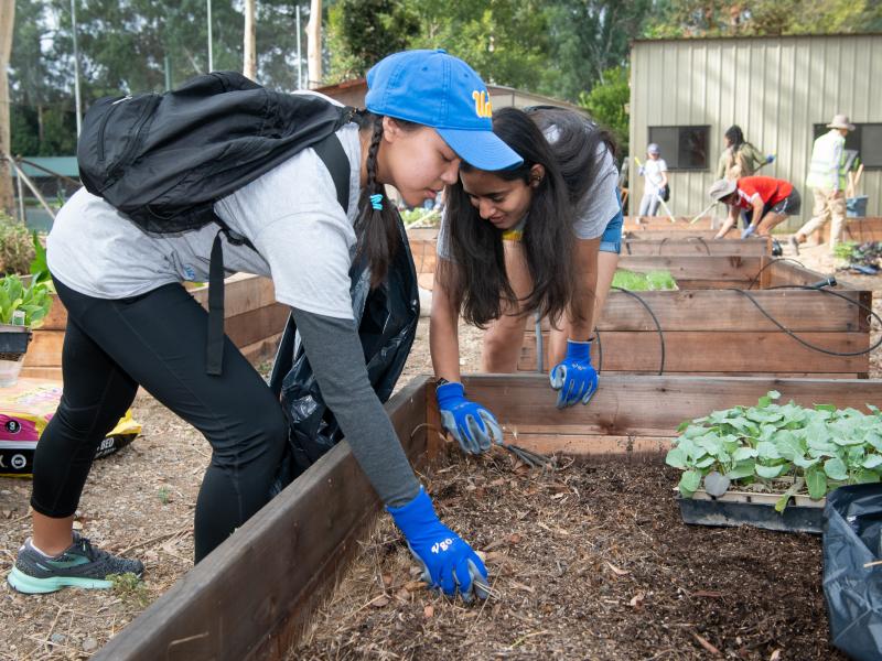 Students gardening in a community garden